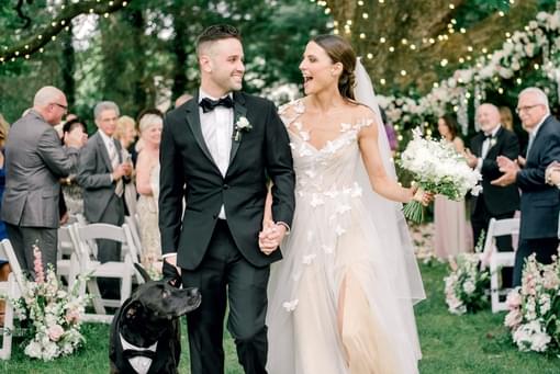 How to dress your dog at the wedding?